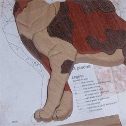 picture 4