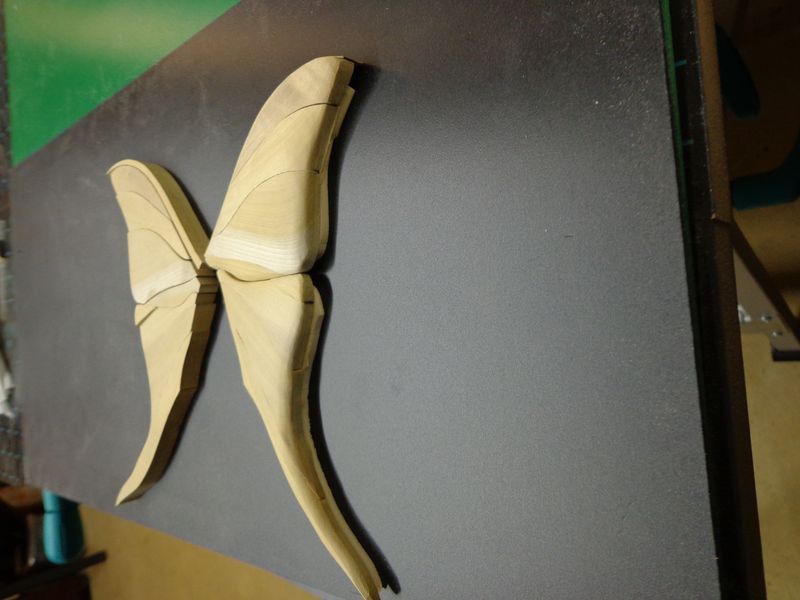 moth9