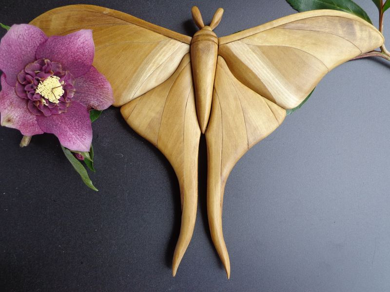 moonmoth